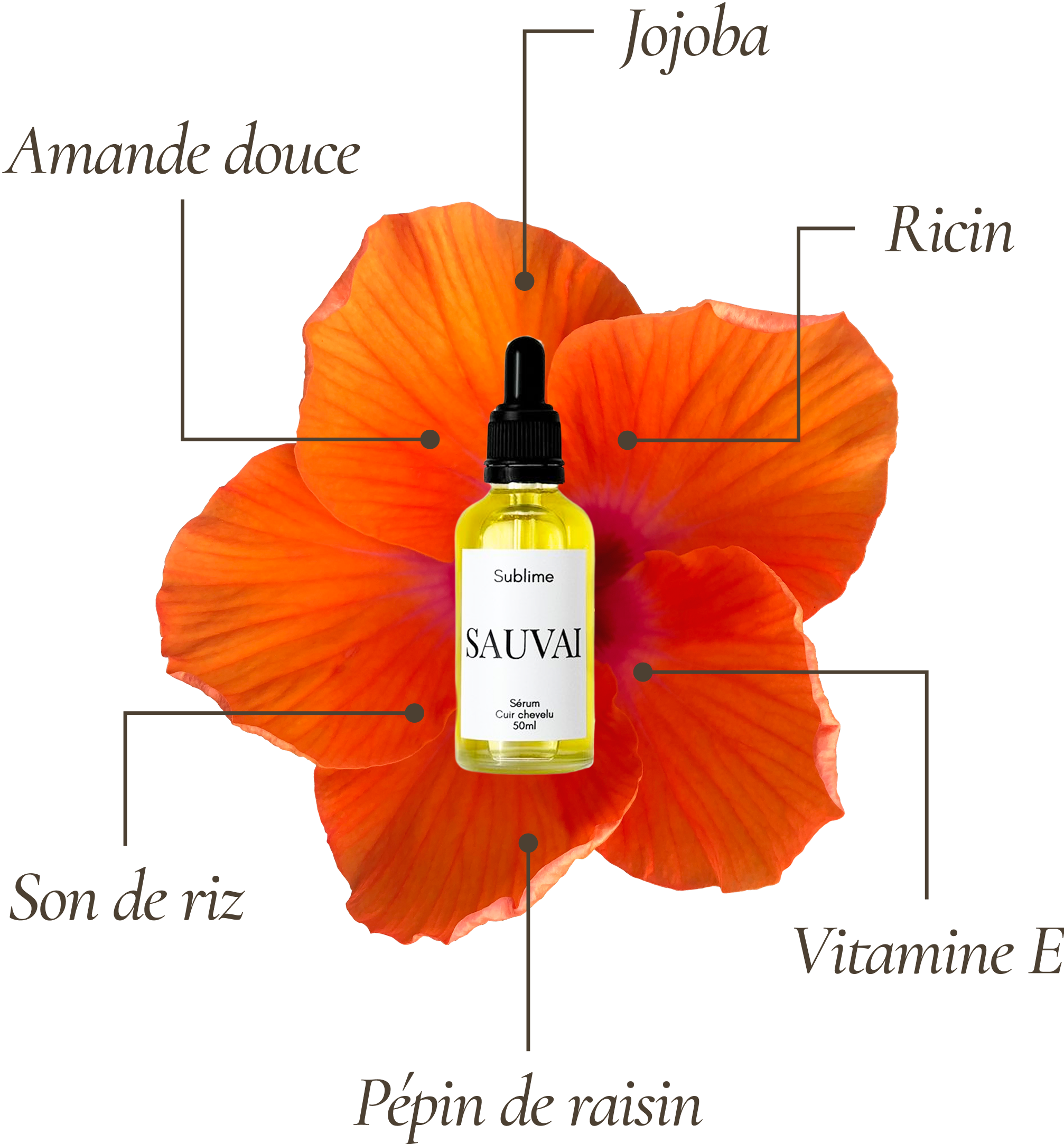 Sublime - Soin intense cuir chevelu 50ml